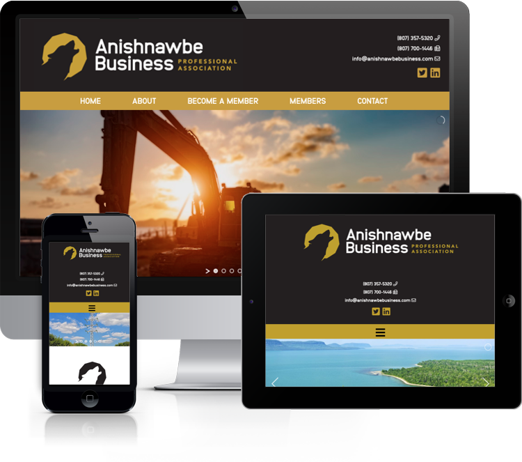 Website for Anishnawbe Business Professional Association